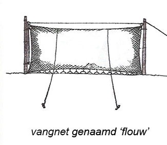 Flouw Vangnet