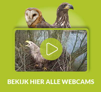 Webcams It Fryske Gea