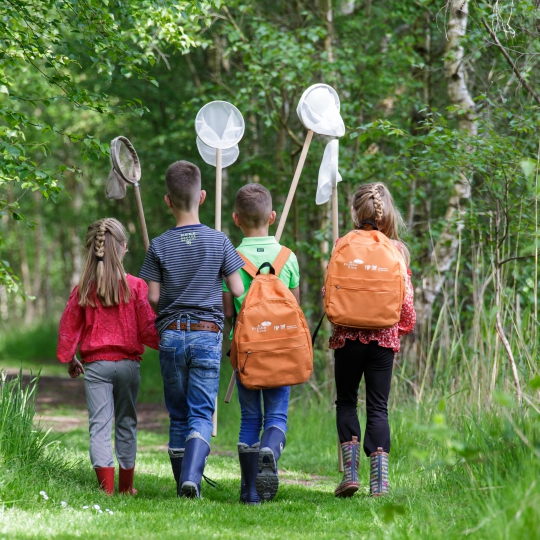Natuuractiviteiten & excursies kinderen - It Fryske Gea