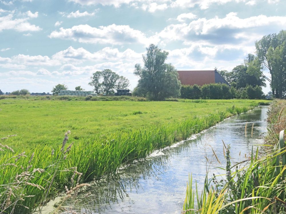 kathus soarremoarsterpolder kathus soarremoarsterpolder