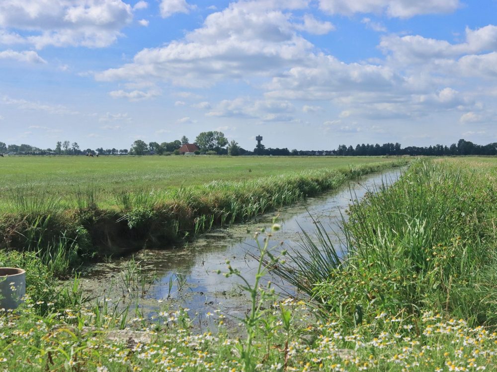 kathus soarremoarsterpolder kathus soarremoarsterpolder