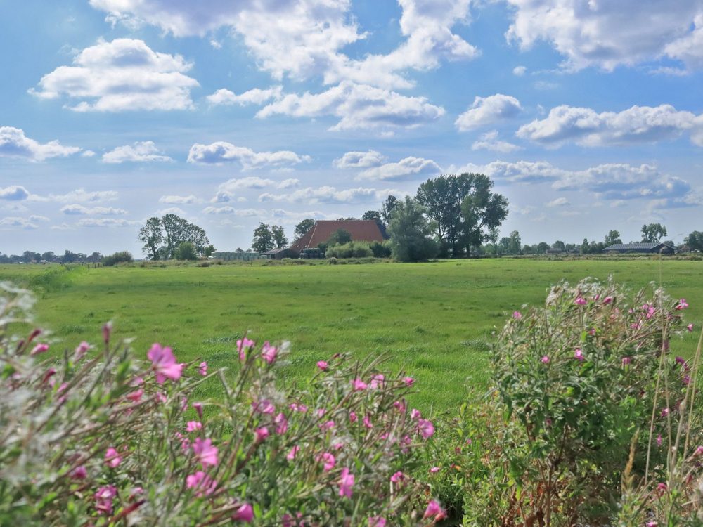 kathus soarremoarsterpolder kathus soarremoarsterpolder