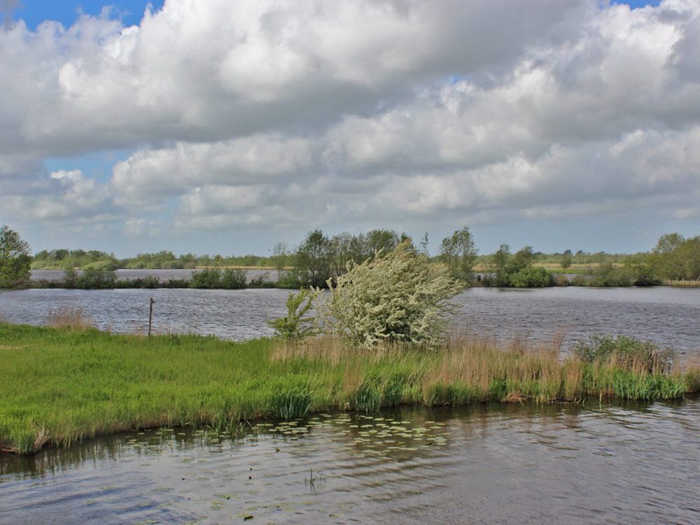 alde feanen alde feanen