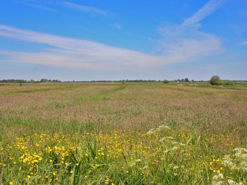 alde feanen it eilan alde feanen it eilan