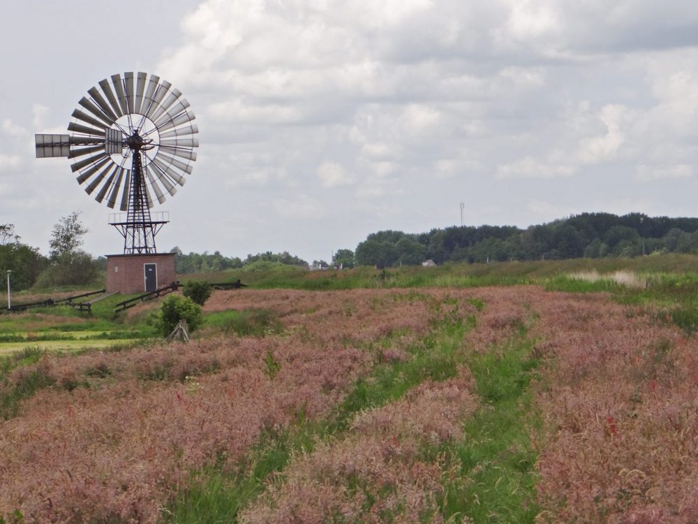 molen petgatten de feanhoop molen petgatten de feanhoop