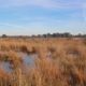 delleboersterheide