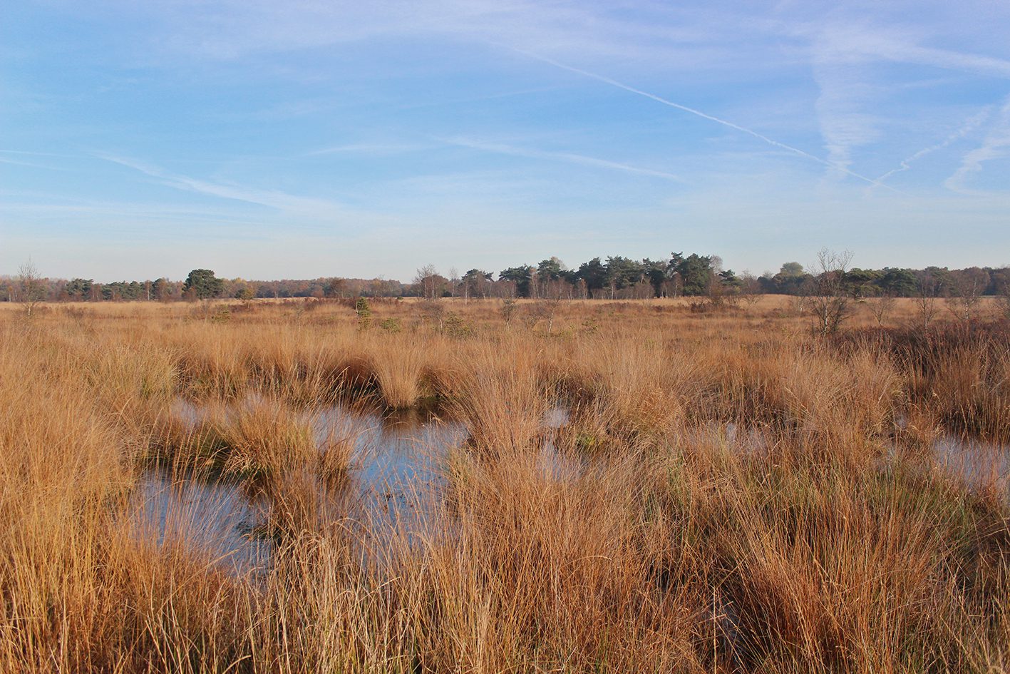 delleboersterheide