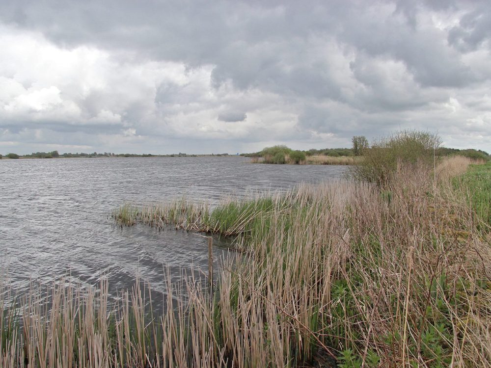 Dunegeaster- en Follegeasterpolder