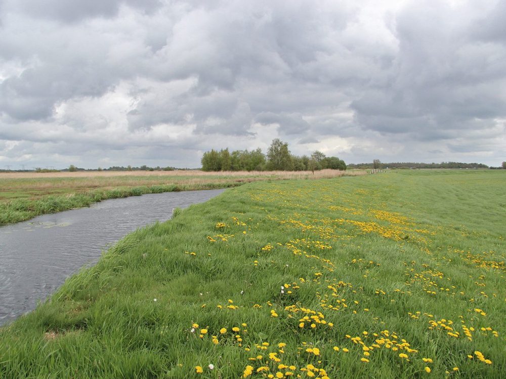 Dunegeaster- en Follegeasterpolder