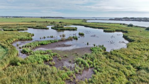 Gebied: Dunegeaster- en Follegeasterpolder