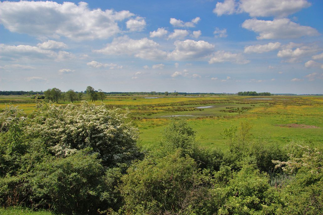 grutte wielen