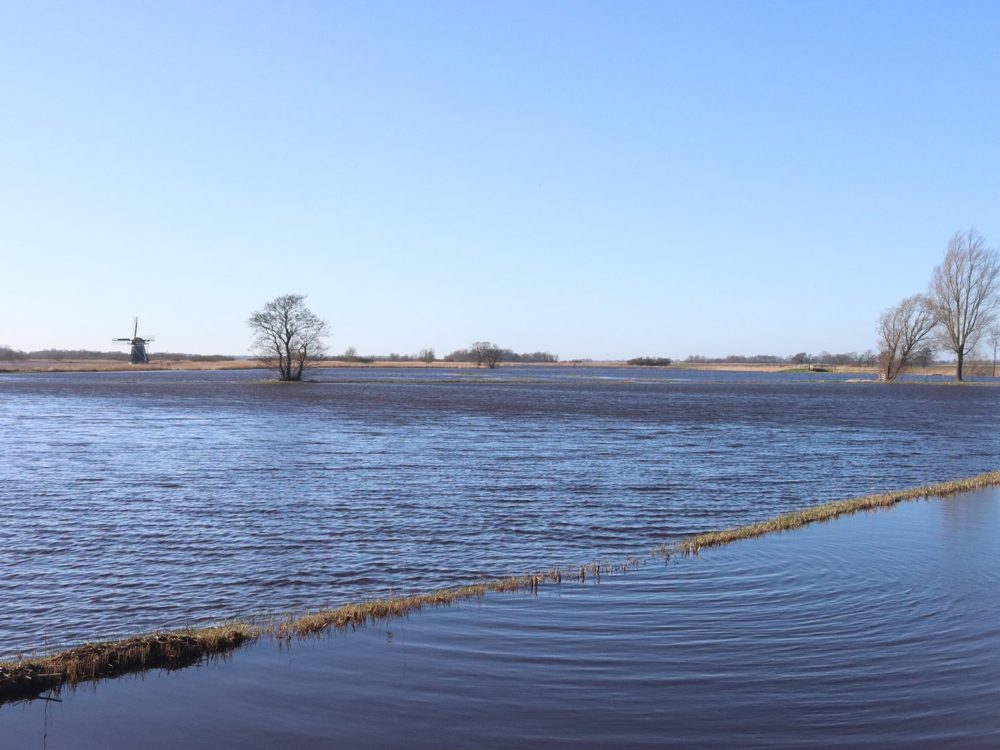 ryptsjerskerpolder grutte wielen grutte wielen ryptsjerksterpolder