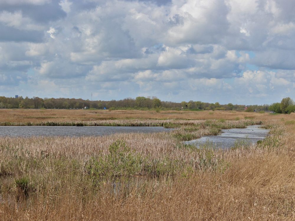 grutte wielen wielsicht grutte wielen wielsicht