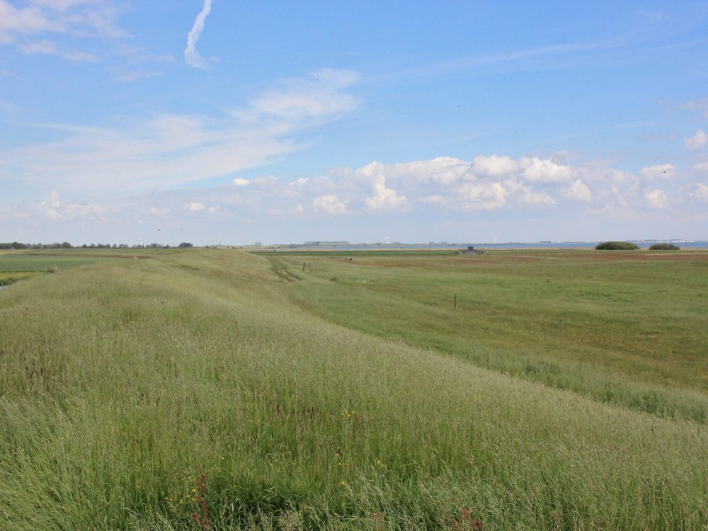 Huitebuersterbûtenpolder1 Huitebuersterbûtenpolder