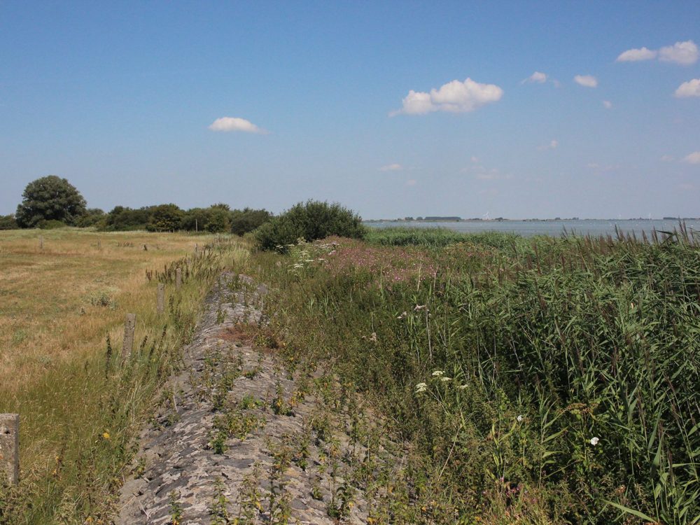 Huitebuersterbûtenpolder2 Huitebuersterbûtenpolder
