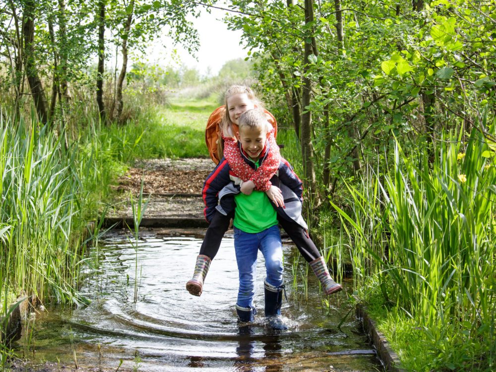 jeugdexcursies kids it fryske gea jeugdexcursies kids it fryske gea