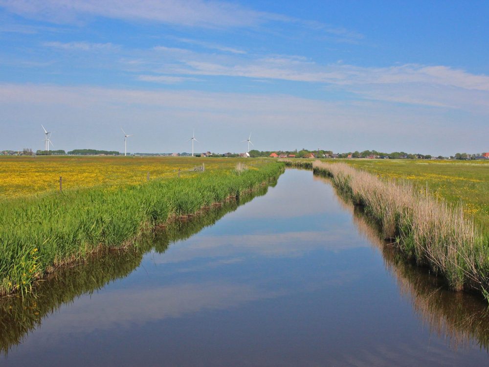 Koarnwerterpolder Koarnwerterpolder