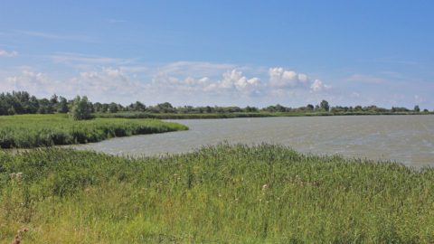 makkumersudwaard makkumerwaarden