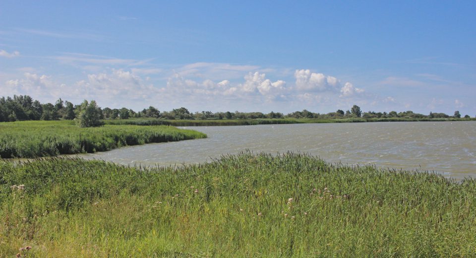makkumersudwaard makkumerwaarden
