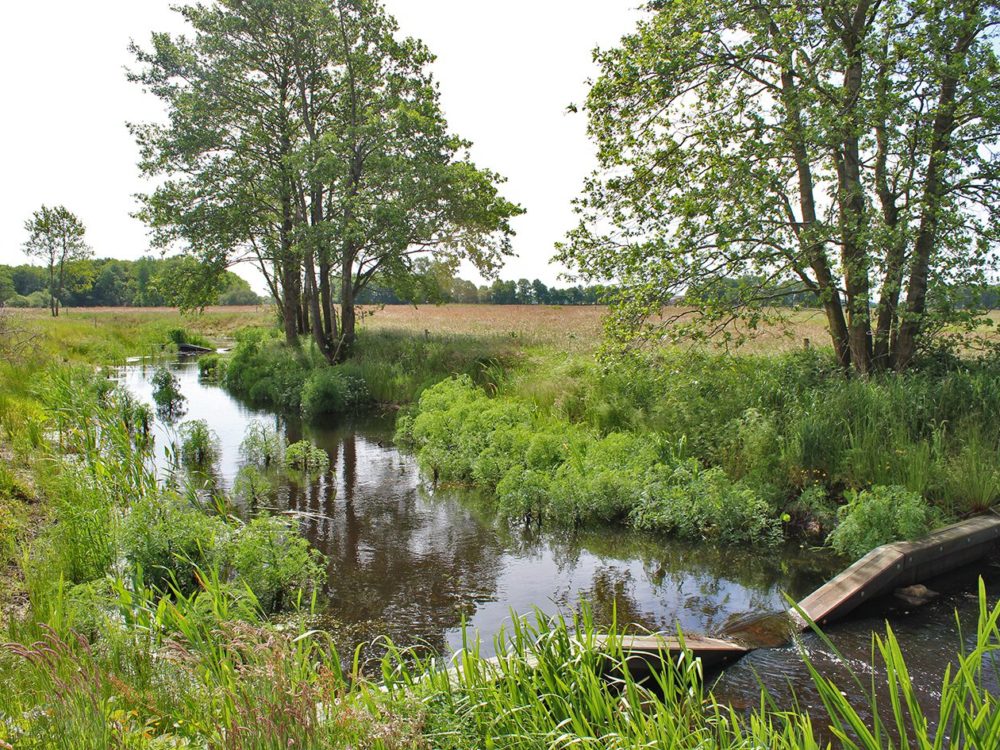 meulereed en meulebos vistrap meulereed en meulebos vistrap