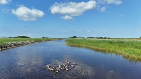 Gebied: Mokkebank