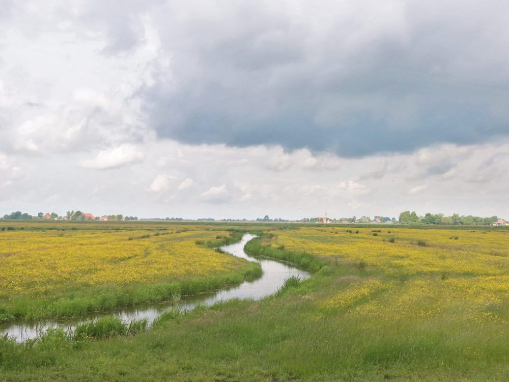 Mûntsebuorsterpolder Mûntsebuorsterpolder