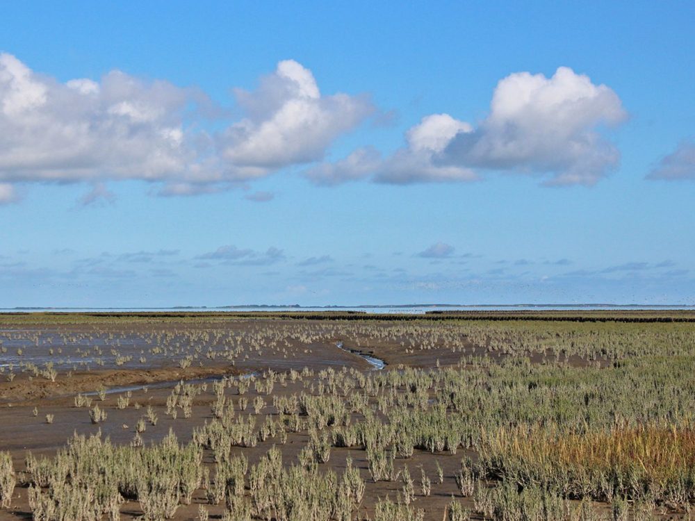 noard fryslan butendyks