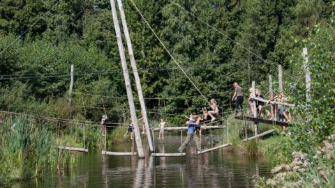 Pettebosk kids alde feanen Pettebosk kids alde feanen