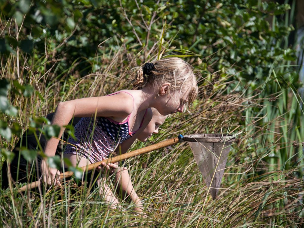 waterdiertjes kids waterdiertjes kids