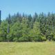 vleermuisonderkomens ketliker skar