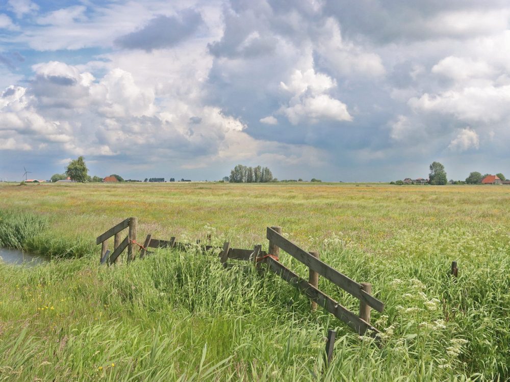 aeltjse en warkumermar aeltjse en warkumermar