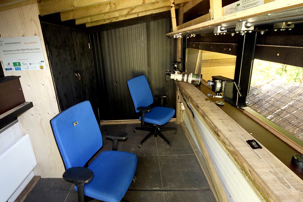 Fotohut Rijs