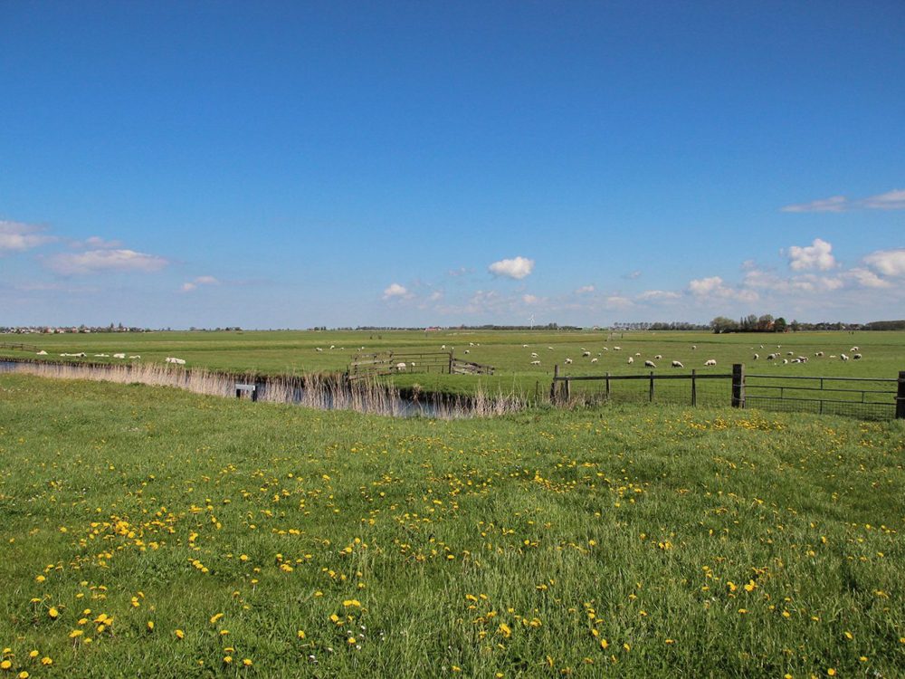 Sudermarpolder sudermarpolder
