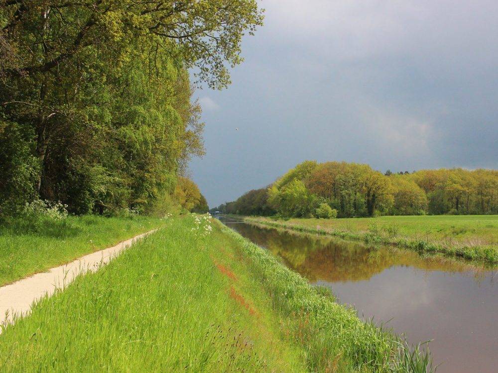 tsjongerwalen donkerbroek tsjongerwalen donkerbroek