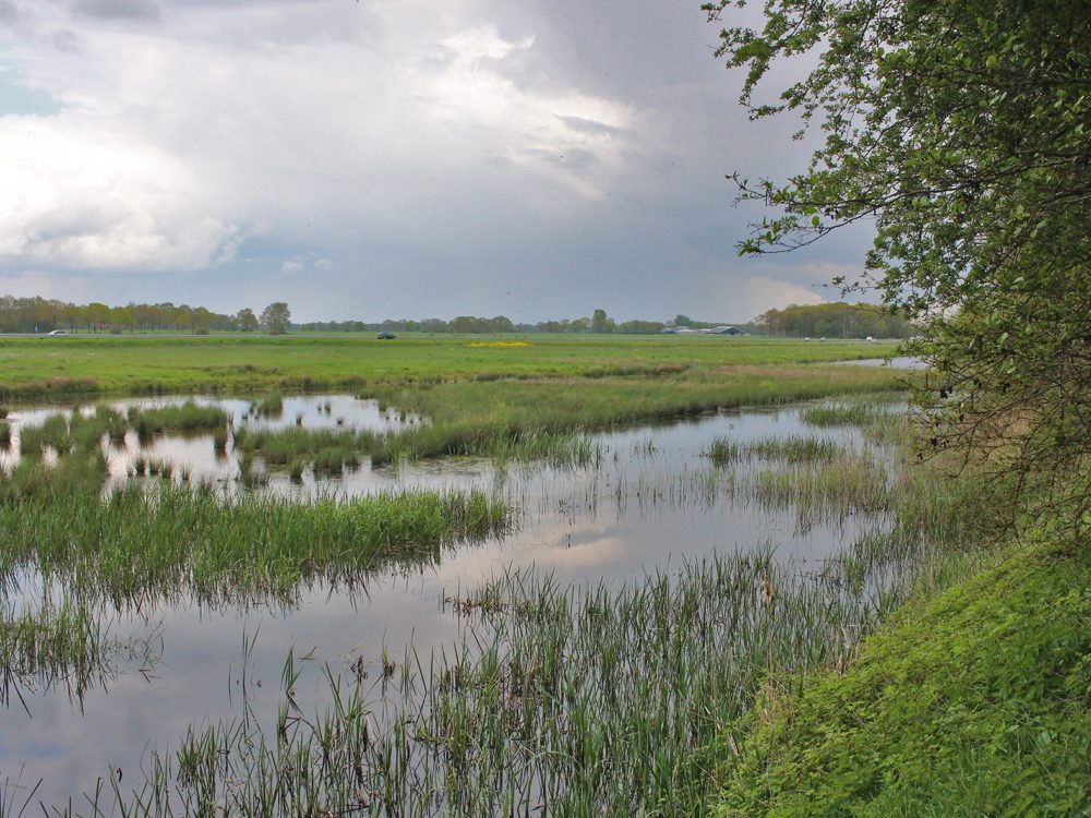 tsjongerwalen donkerbroek tsjongerwalen donkerbroek