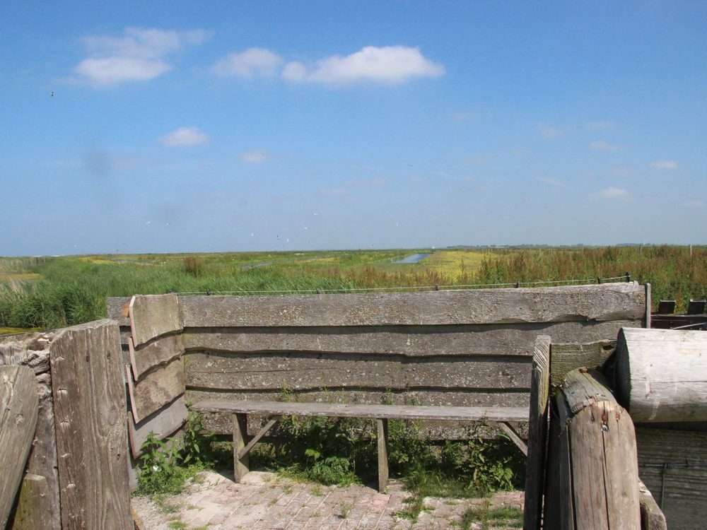 Uitkijkpunt Bijenkamp warkumerwaard Uitkijkpunt Bijenkamp warkumerwaard