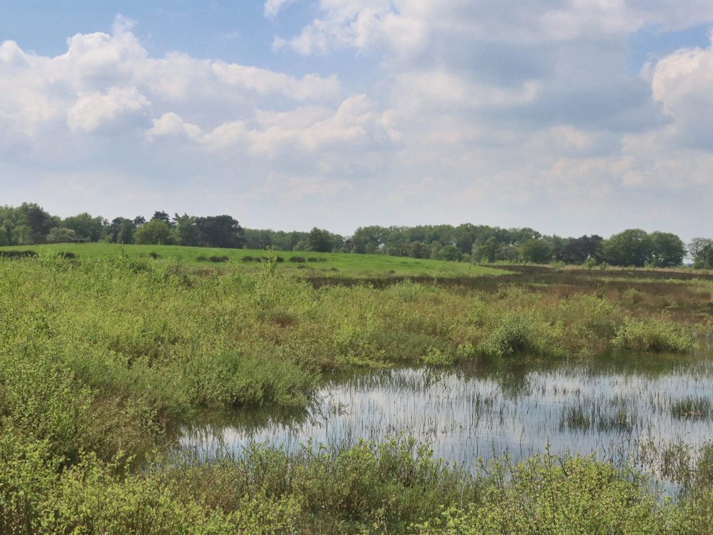 Uitkijkpunt Delleboersterheide Uitkijkpunt Delleboersterheide