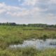 Uitkijkpunt Delleboersterheide