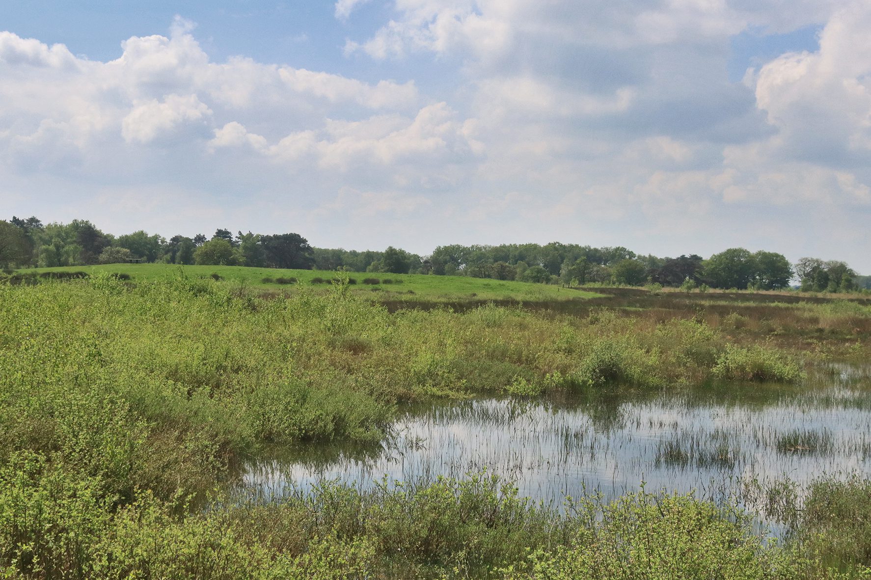 Uitkijkpunt Delleboersterheide