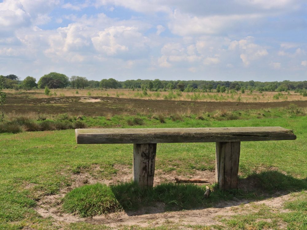 Uitkijkpunt Delleboersterheide Uitkijkpunt Delleboersterheide