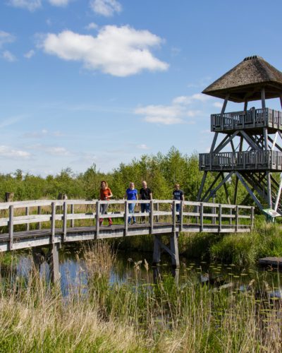 Uitkijktoren Romsicht alde feanen