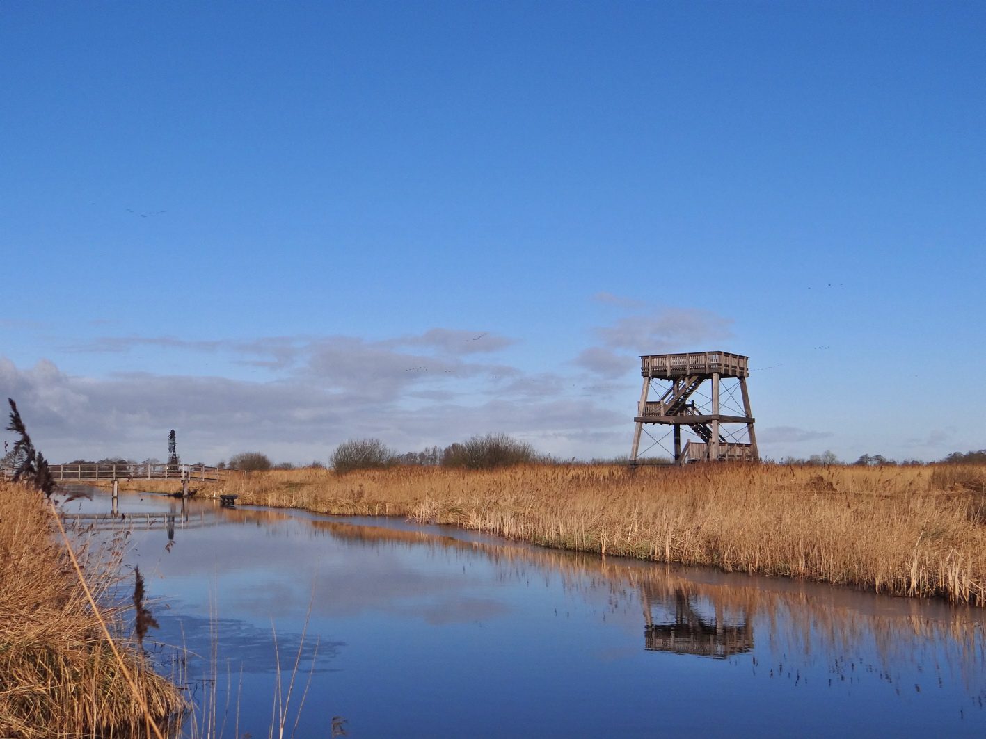 Foto-excursie It Wikelslân