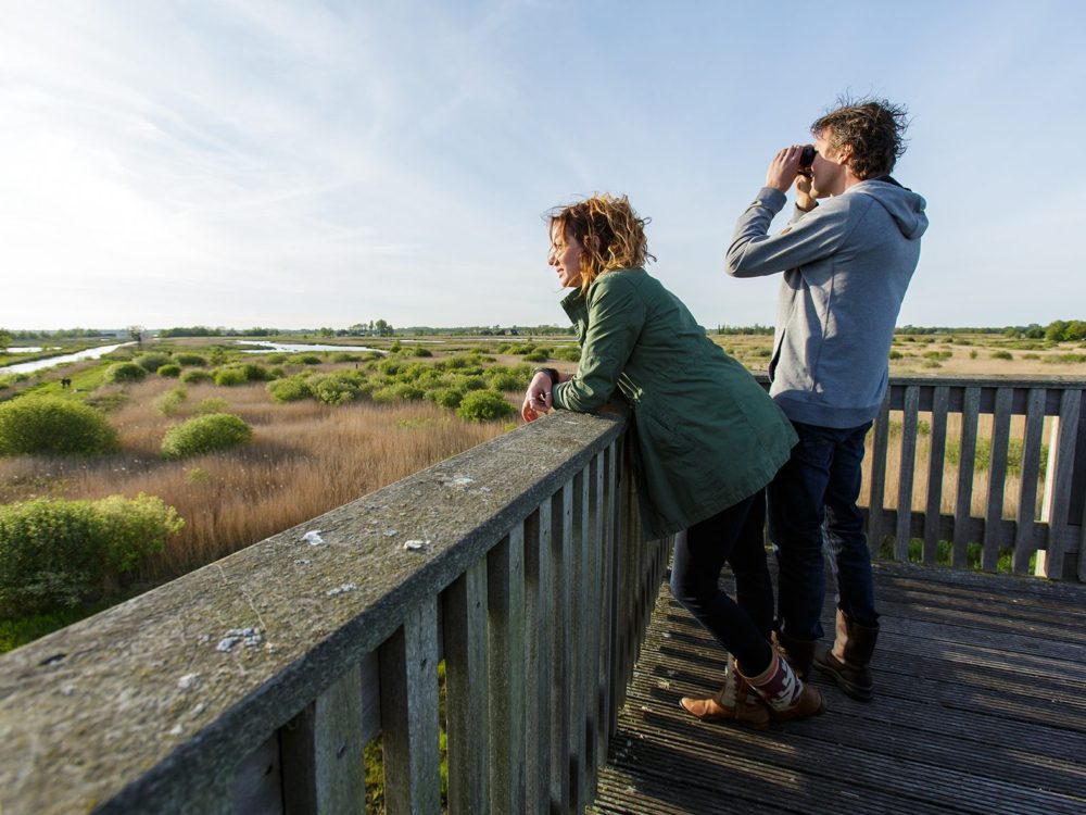 Uitkijktoren Earnesleat alde feanen