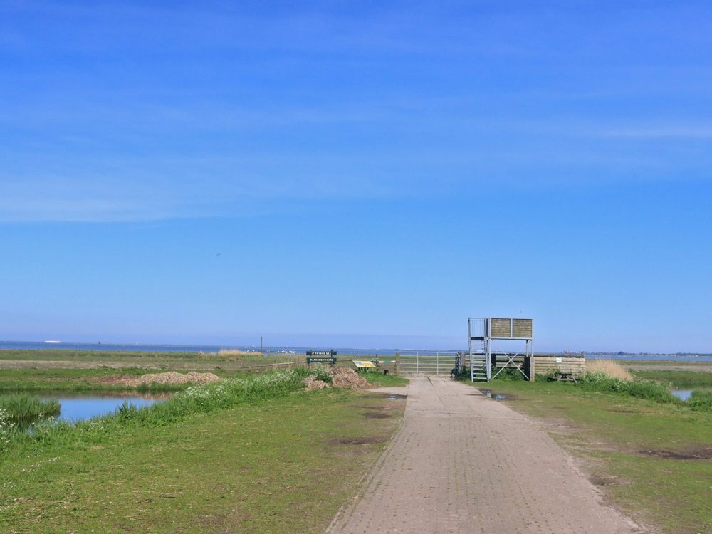 Uitkijkpunt Hokje Bakker warkumerwaard Uitkijkpunt Hokje Bakker warkumerwaard