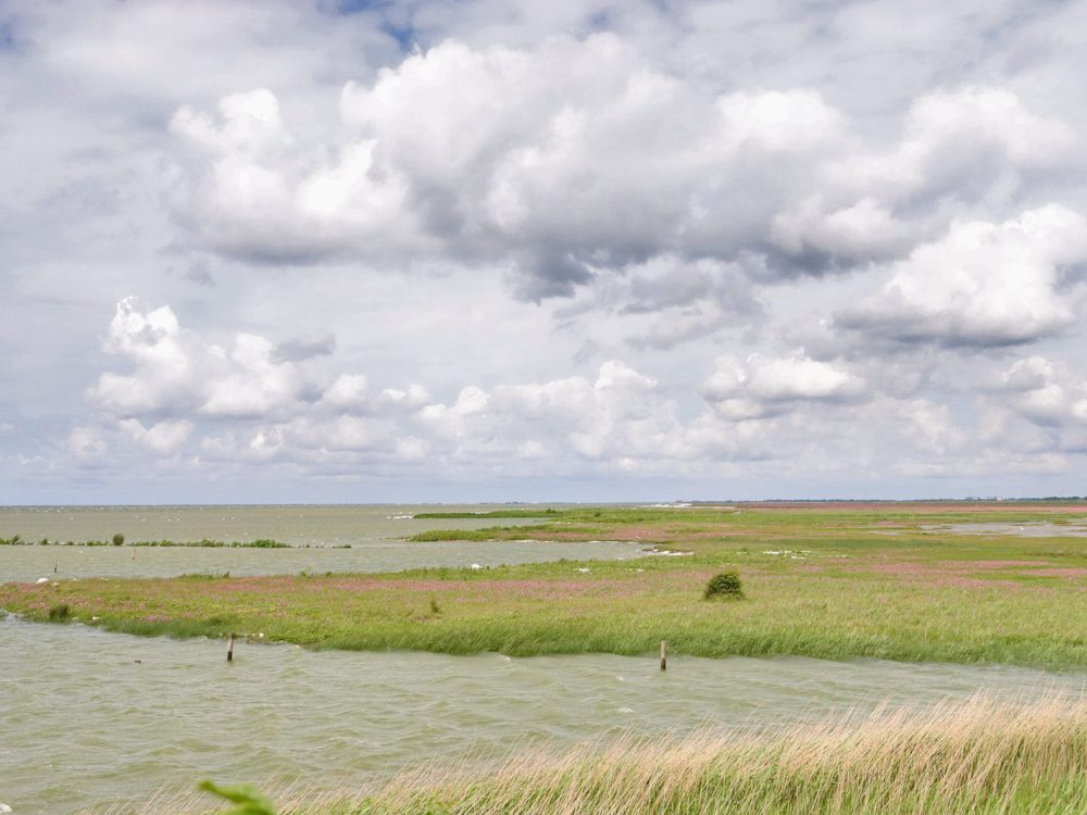 warkumerwaard butenwaard warkumerwaard butenwaard
