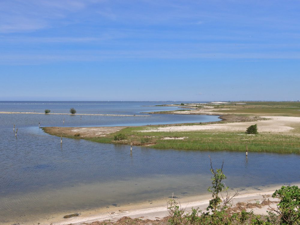 Warkumerbutenwaard2 warkumerwaard butenwaard