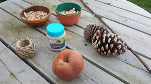 wintervogel snack kids