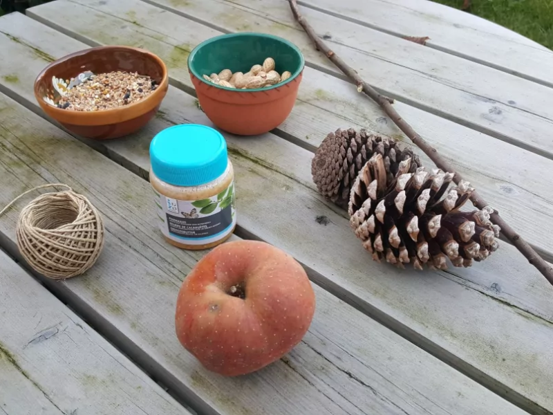 wintervogel snack kids wintervogel snack kids