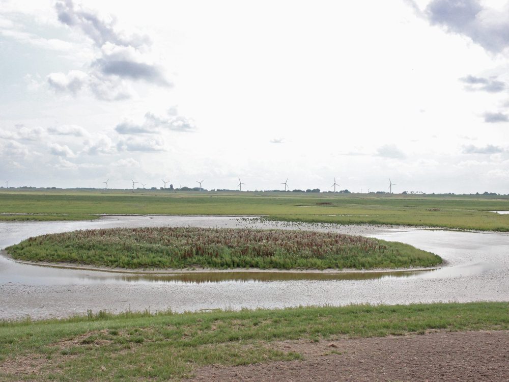 Kijkscherm Noarderleech Kijkscherm Noarderleech
