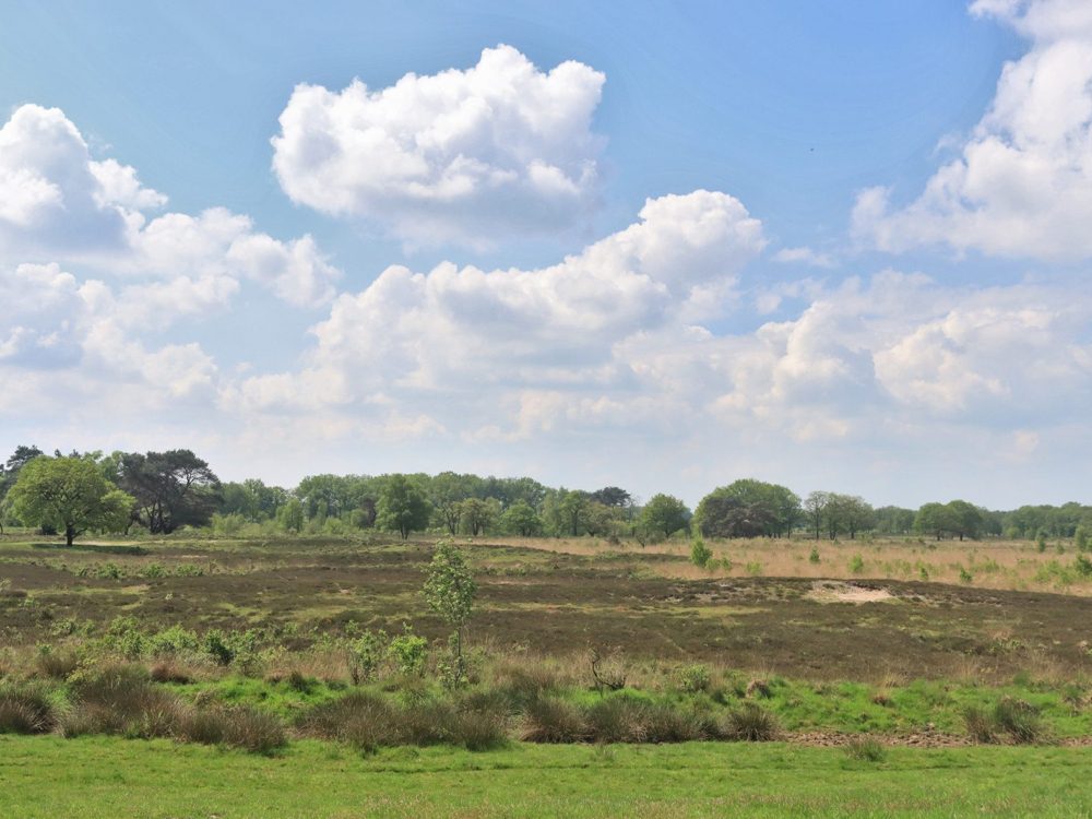 Uitkijkpunt Delleboersterheide Uitkijkpunt Delleboersterheide